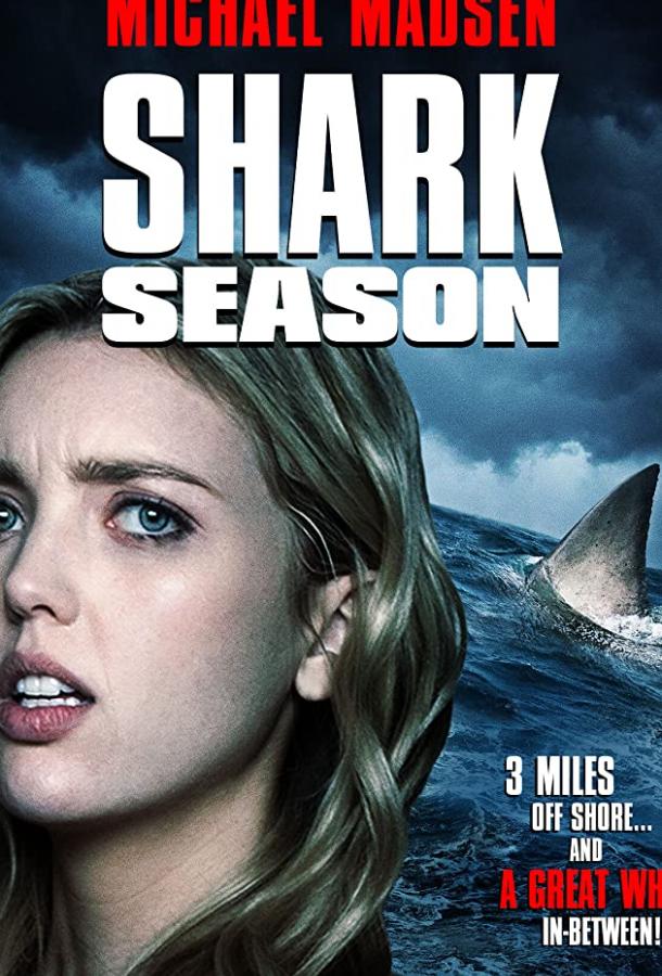 Сезон акул
