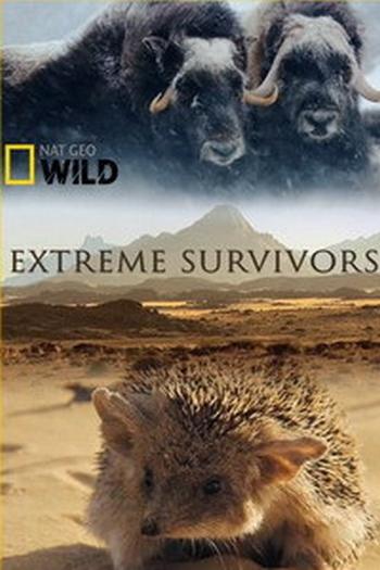 National Geographic. Выжить несмотря ни на что