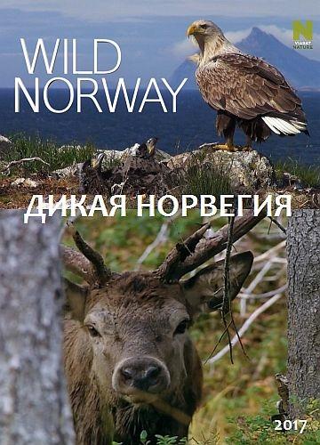 Дикая Норвегия