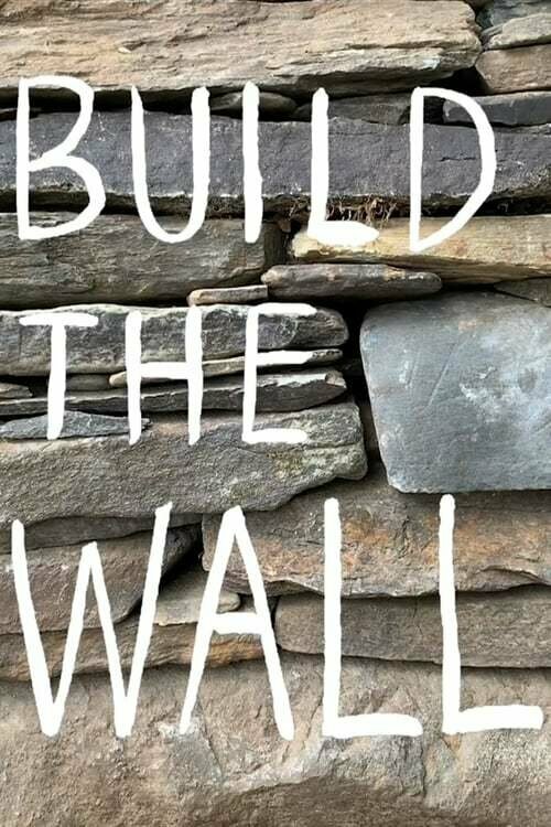  Построить стену 