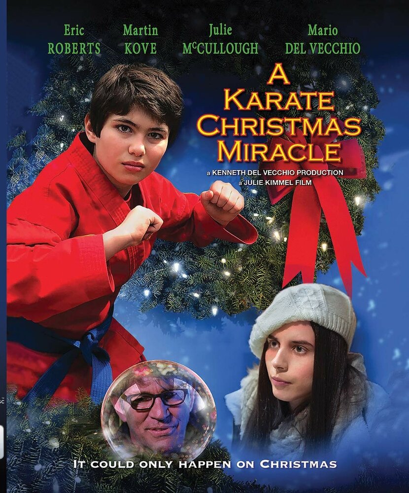  Рождественское чудо в стиле карате 