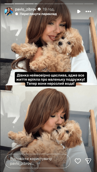 Як Ірина Білик та Павло Зібров зустріли нового члена родини: зворушлива історія з цуценям 4