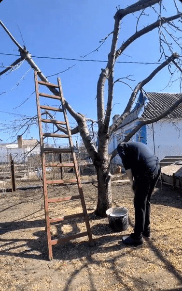 Як українка перетворила стару хату на сучасне житло: вражаючий ремонт 7