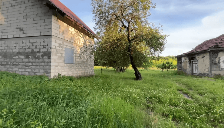 Українець перетворив покинуте село на прихисток для диких тварин 3 Українець перетворив покинуте село на прихисток для диких тварин 3