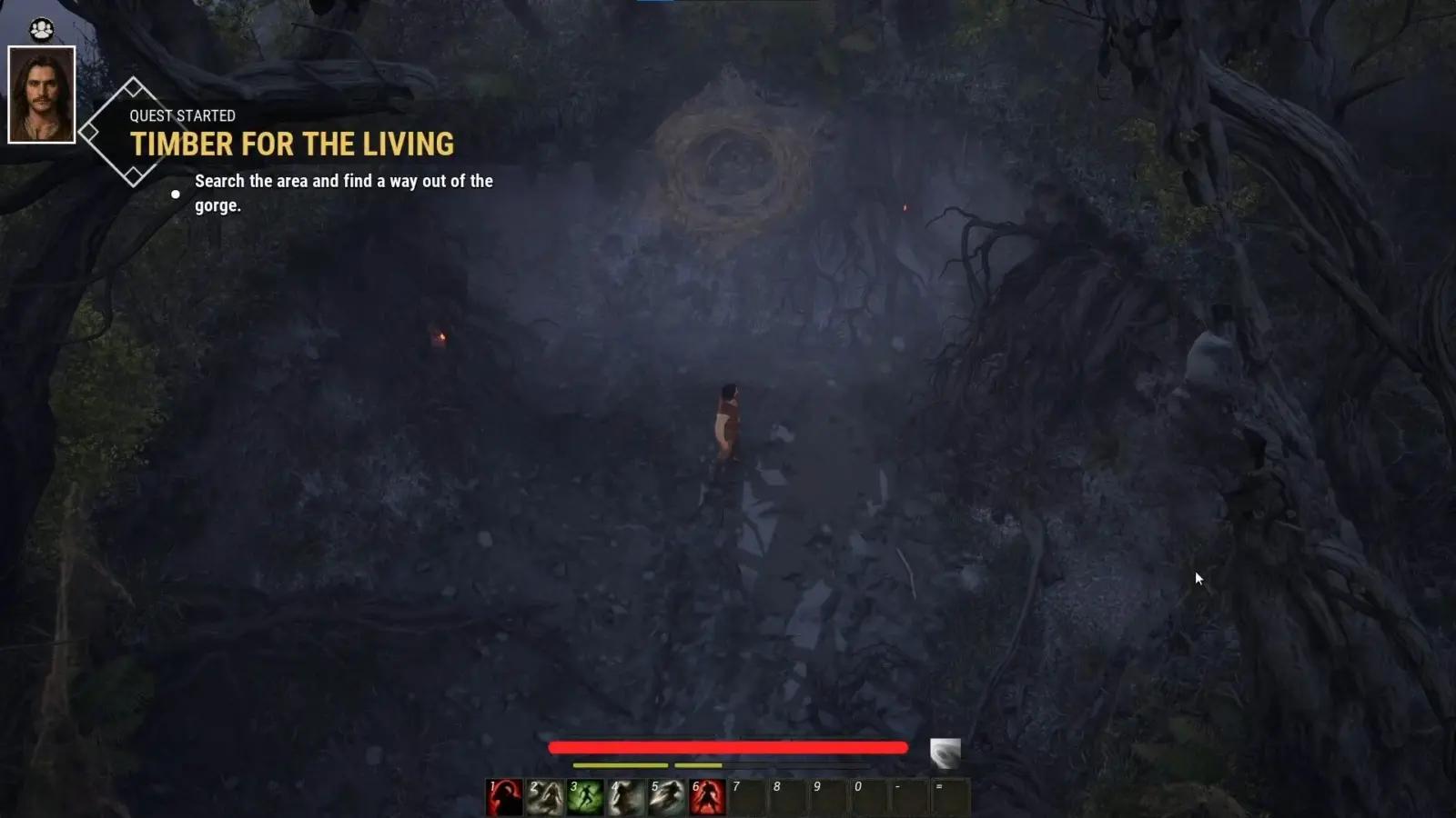 Anchorite: Heritage Ascension – українська покрокова RPG в стилі Divinity: Original Sin 3