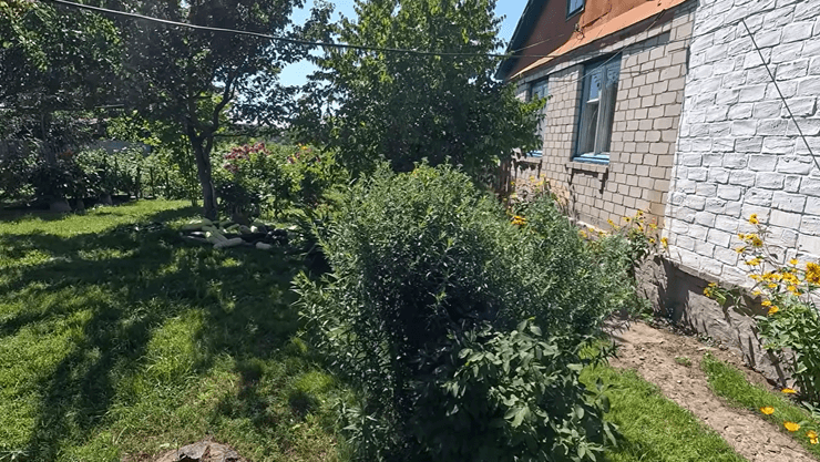 Переселенці перетворили стару хату за 40 тис. грн на затишне житло 2