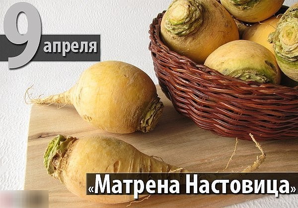 9 квітня – День пам’яті Святої Матрони Полурепниці 5