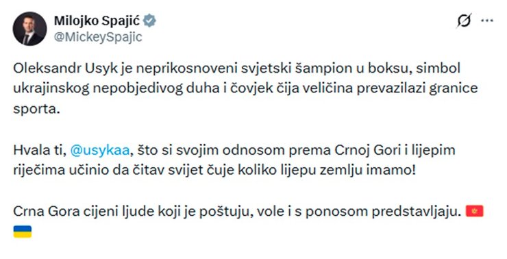 Усик обговорив з прем'єром Чорногорії розвиток спорту та інвестицій 3