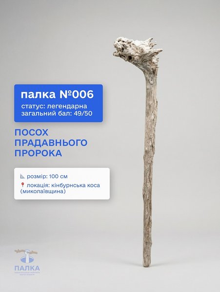 Нова львівська виставка дивує креативними інсталяціями 12
